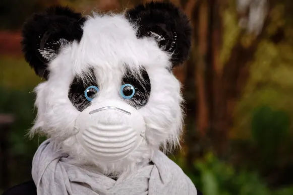 Pronto Casino Assistance